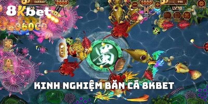 Bí kíp mà các ngư thủ cần trang bị để kiếm thưởng lớn